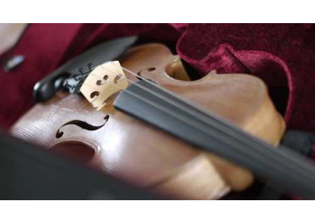 Violon d'étude adulte excellente qualité apprentissage conservatoire.