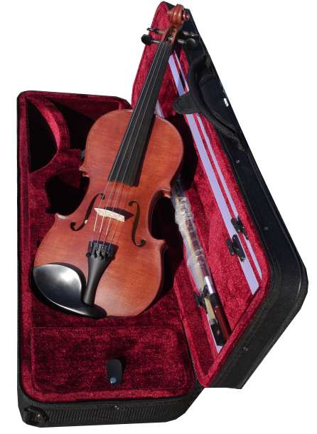 Je veux apprendre le violon : Guide du débutant - La Maison du Violon
